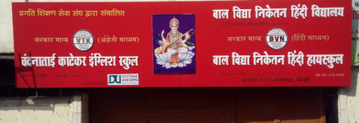 Bal Vidya Niketan Hindi School