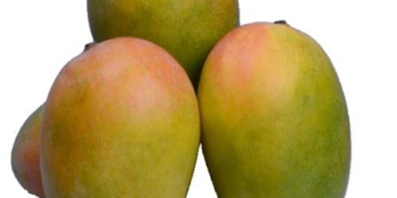 Fresh Fruits Gallery