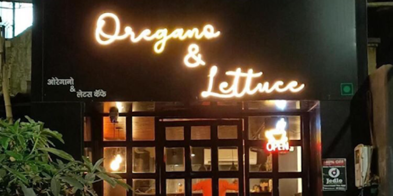 Oregano & Lettuce