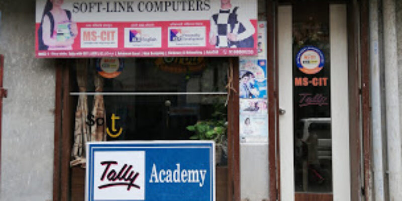 Soft-Link Computers